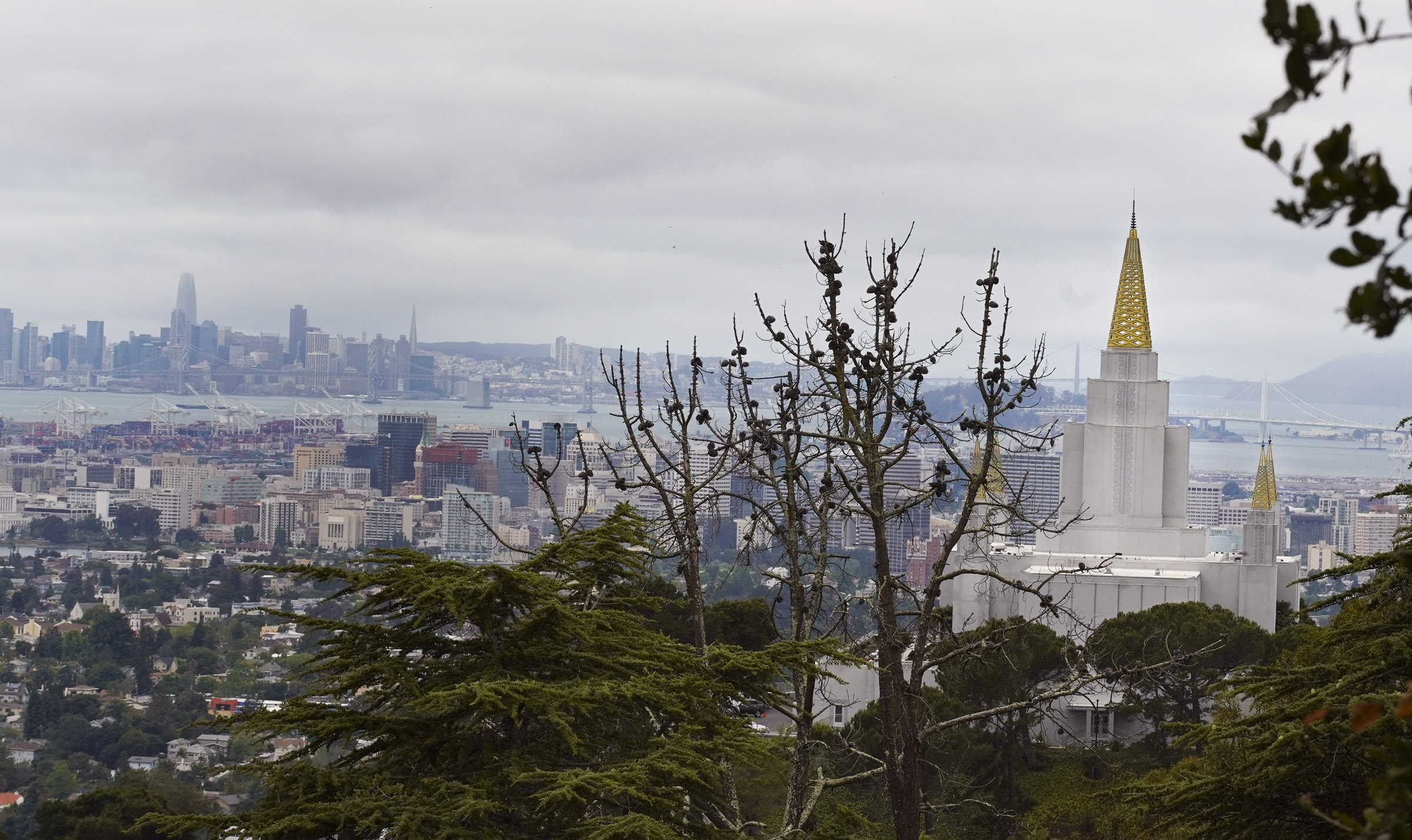 The Oakland California Temple on Saturday, June 15, 2019.